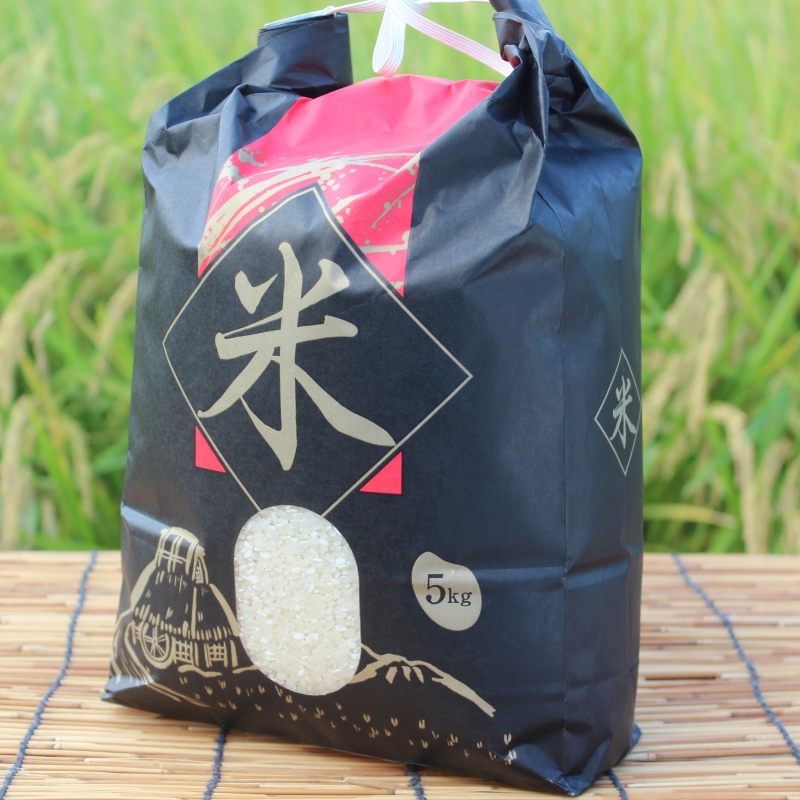 新米 令和6年産 キヌヒカリ 10kg (5kg×2袋) 米 白米 精米 お米 こめ コメ きぬひかり 令和6年 ご飯 ごはん 京都 京都府 南丹市