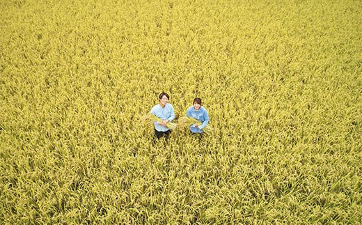 山形県南陽市のふるさと納税 【令和7年産 新米 先行予約】 特別栽培米 つや姫 5kg 《令和7年10月中旬～発送》 『平農園』 山形南陽産 米 白米 精米 ご飯 農家直送 山形県 南陽市 [1950-R7]