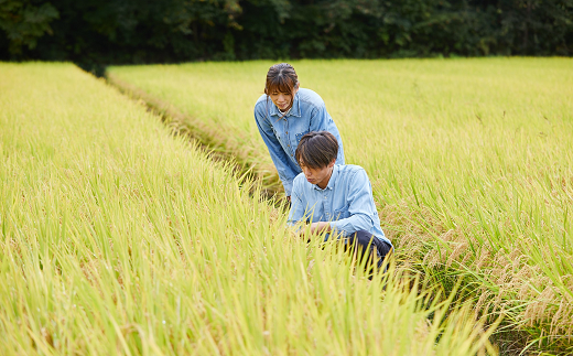山形県南陽市のふるさと納税 【令和7年産 新米 先行予約】 特別栽培米 つや姫 5kg 《令和7年10月中旬～発送》 『平農園』 山形南陽産 米 白米 精米 ご飯 農家直送 山形県 南陽市 [1950-R7]