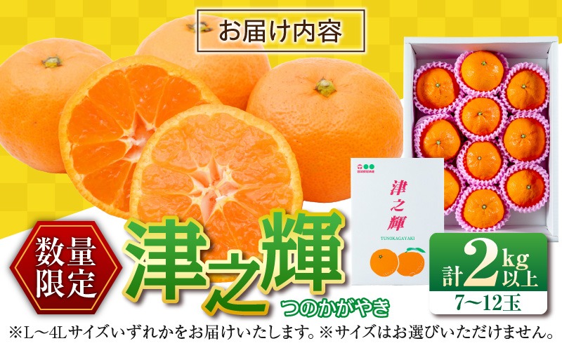 宮崎県日南市のふるさと納税 先行予約 津之輝 つのかがやき 2kg以上 (2kg×1箱) 希少 期間限定 数量限定 フルーツ 果物 くだもの 柑橘 みかん 令和8年発送 国産 食品 おすすめ デザート おやつ みかんジュース フルーツサンド ギフト 贈り物 贈答 おすそ分け 宮崎県 日南市 送料無料_A79-23