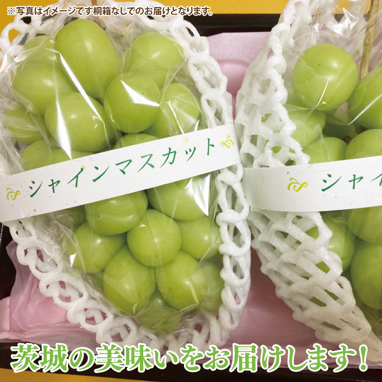【先行予約】シャインマスカット 2房（茨城県共通返礼品：かすみがうら市産）　※2025年8月初旬～2026年1月下旬頃に順次発送予定（CD023）