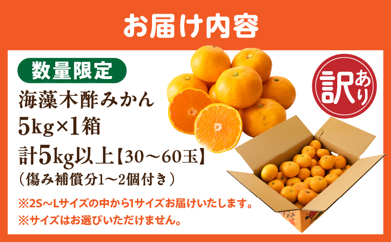 宮崎県日南市のふるさと納税 訳あり 数量限定 海藻木酢みかん 計5kg以上 傷み補償分付き フルーツ 果物 くだもの 柑橘 みかん 国産 期間限定 食品 家庭用 自宅用 B品 わけあり オレンジ デザート おやつ おすすめ おすそ分け ご褒美 お取り寄せ グルメ 産地直送 宮崎県 日南市 送料無料_A94-25