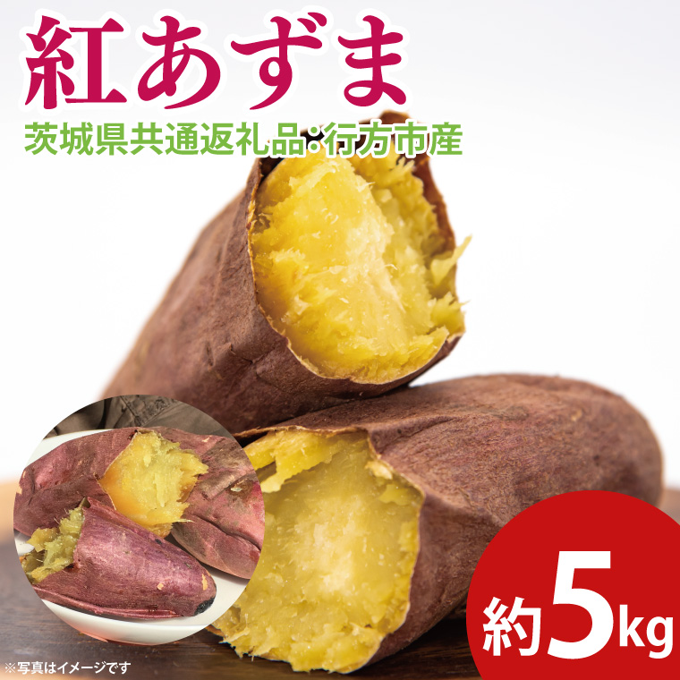 �y��錧��q���z�y��s�\��z�g������ ��5kg�i��錧���ʕԗ�i�F�s���s�Y�j��2025�N10����{�`2026�N3�����{���ɏ��������\��iCD084�j