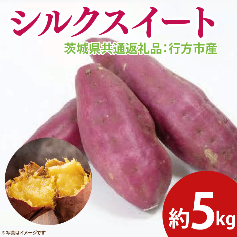 【先行予約】シルクスイート 約5kg（茨城県共通返礼品：行方市産）※2025年10月上旬～2026年3月下旬頃に順次発送予定（CD086）
