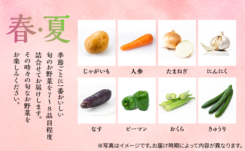 季節の野菜 8～10品目 セット 栽培期間中 無農薬 化学肥料不使用 旬 野菜 岡山