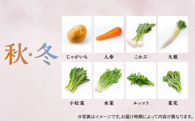 季節の野菜 8～10品目 セット 栽培期間中 無農薬 化学肥料不使用 旬 野菜 岡山