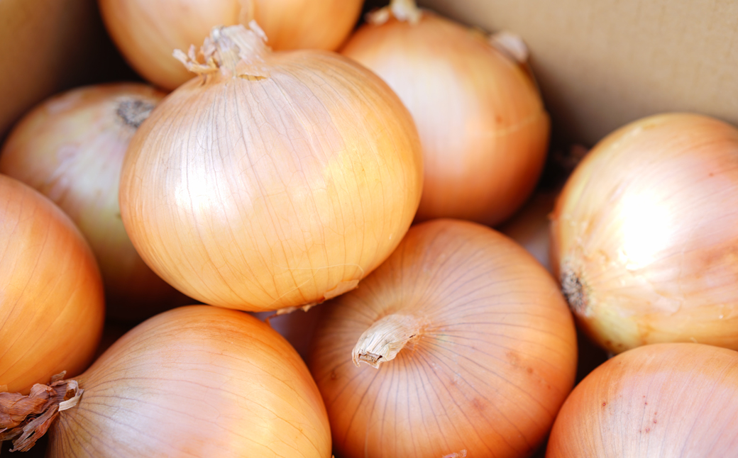 淡路島たまねぎ 大きな2Lサイズ 5kg　　[玉ねぎ 産地直送 玉葱]