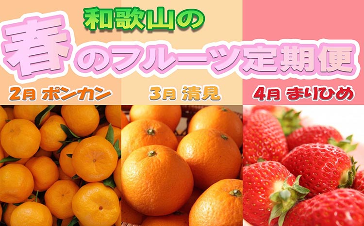 【和歌山県美浜町】〈定期便〉【2・3・4月 全3回】和歌山の春のフルーツ(ポンカン・清見オレンジ・まりひめ) ◇|フルーツ ふるーつ 果物 くだもの 詰め合わせ 果物定期便 みかん オレンジ いちご 国産 産地直送 美浜町厳選館 美浜町 ※北海道・沖縄・離島への配送不可