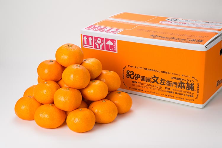 ネーブルオレンジ［約7kg］和歌山県有田産 春みかん【果実サイズおまかせ】 ｜ 和歌山県産 柑橘 フルーツ 紀伊国屋文左衛門本舗