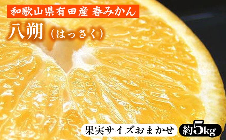 八朔（はっさく）［約5kg］和歌山県有田産 春みかん【果実サイズおまかせ】 ｜ 和歌山県産 柑橘 フルーツ 紀伊国屋文左衛門本舗