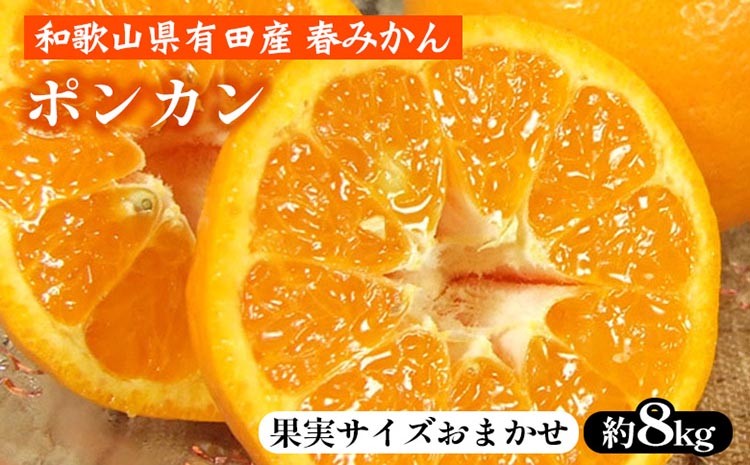 ポンカン［約8kg］和歌山県 有田産 春みかん 春柑橘【果実サイズおまかせ】 ｜ 和歌山県産 柑橘 フルーツ 紀伊国屋文左衛門本舗