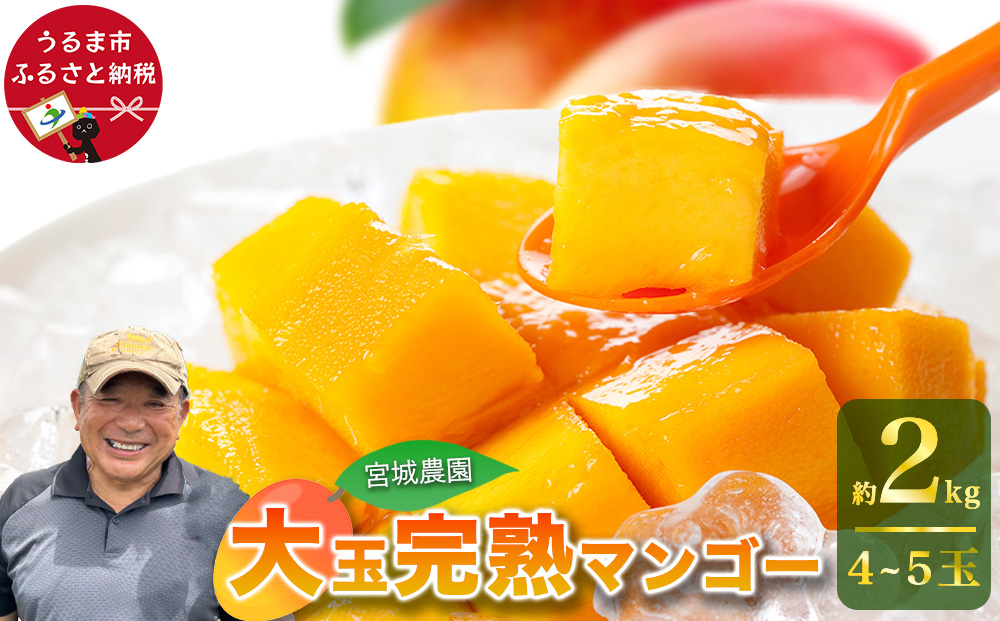宮城農園の完熟マンゴー　約2kg（4～5玉）【 先行予約 2026年発送 】