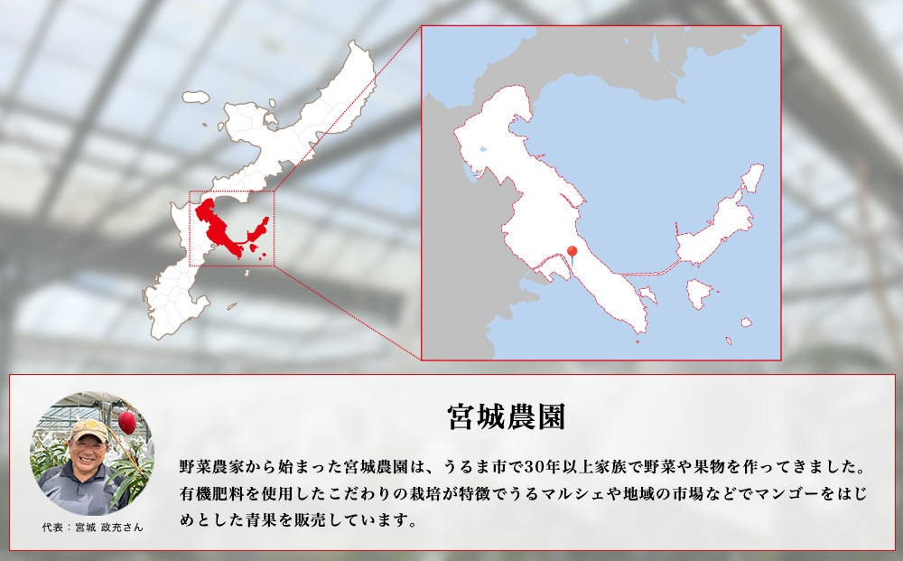 宮城農園の完熟マンゴー　約2kg（4～5玉）【 先行予約 2026年発送 】