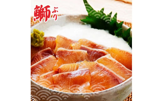 土佐の海鮮丼食べくらべセット（ブリ・タイ・サーモン・マグロ）各2袋セット 1パック60g