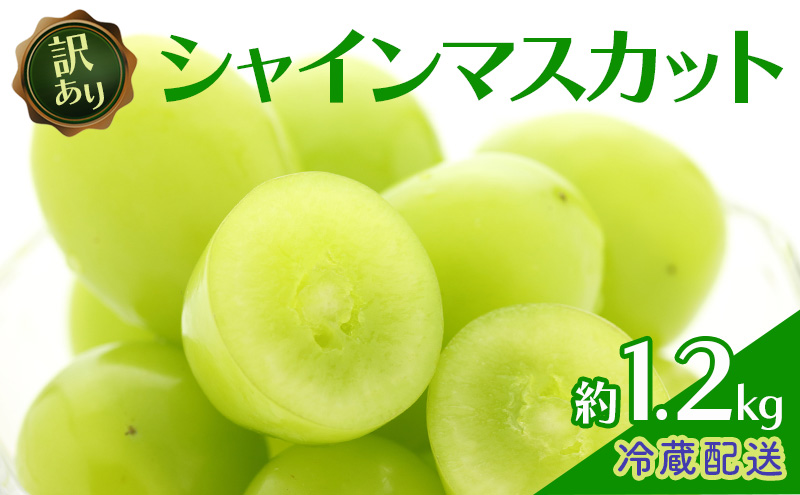 y쌧钬z󂠂 VC}XJbg 1.2kg  Vʎ Ԃǂ  }XJbg uhE t[c ʕ VC
