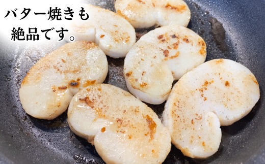 むき身 セット 約500g 冷凍 詰め合わせ 特大サイズ 平貝 岬だより 魚介 海鮮 貝 出汁 愛知県 南知多町