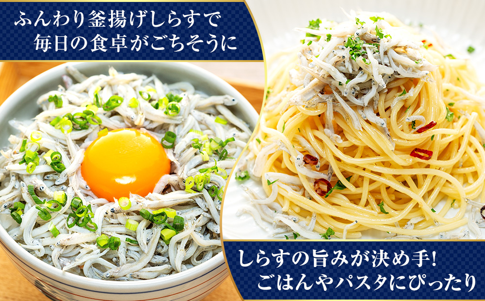【容量が選べる】しらす 訳あり 1kg～2kg 釜揚げしらす シラス ごはん おかず チャーハン パスタ 料理 大きめ ランキング こだわり 鮮度 天塩 マル伊商店 愛知県 南知多町