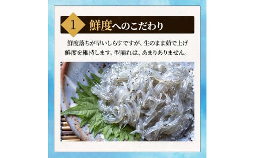 【小分け・容量が選べる】しらす 訳あり 400g～1kg しらす干し 小分け 冷凍 シラス ごはん おかず チャーハン パスタ 料理 大きめ ランキング こだわり 鮮度 天塩 マル伊商店 愛知県 南知多町