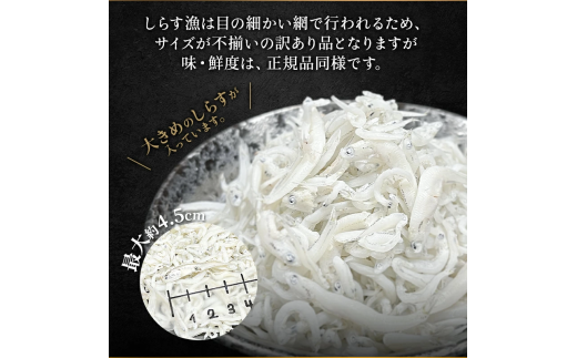 【小分け・容量が選べる】しらす 訳あり 400g～1kg しらす干し 小分け 冷凍 シラス ごはん おかず チャーハン パスタ 料理 大きめ ランキング こだわり 鮮度 天塩 マル伊商店 愛知県 南知多町