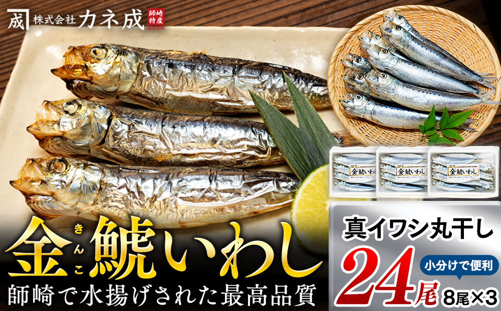 【愛知県南知多町】いわし 丸干し 24尾 ( 8尾 × 3 パック ) 干物 冷凍 小分け 愛知県 南知多町 ご飯 ごはん おかず おつまみ 魚 さかな 鰯 金鯱 イワシ 栄養 料理 国産 カネ成 人気 おすすめ