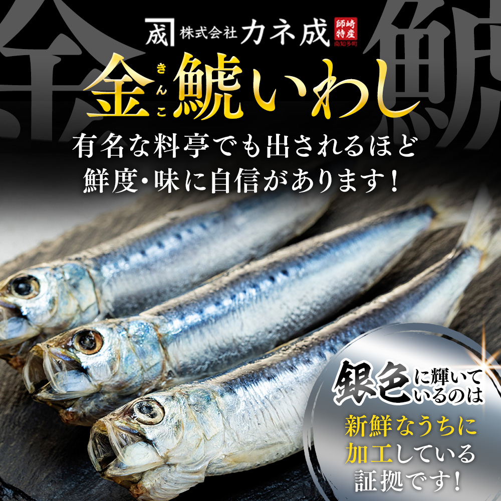 いわし 丸干し 24尾 ( 8尾 × 3 パック ) 干物 冷凍 小分け 愛知県 南知多町 ご飯 ごはん おかず おつまみ 魚 さかな 鰯 金鯱 イワシ 栄養 料理 国産 カネ成 人気 おすすめ