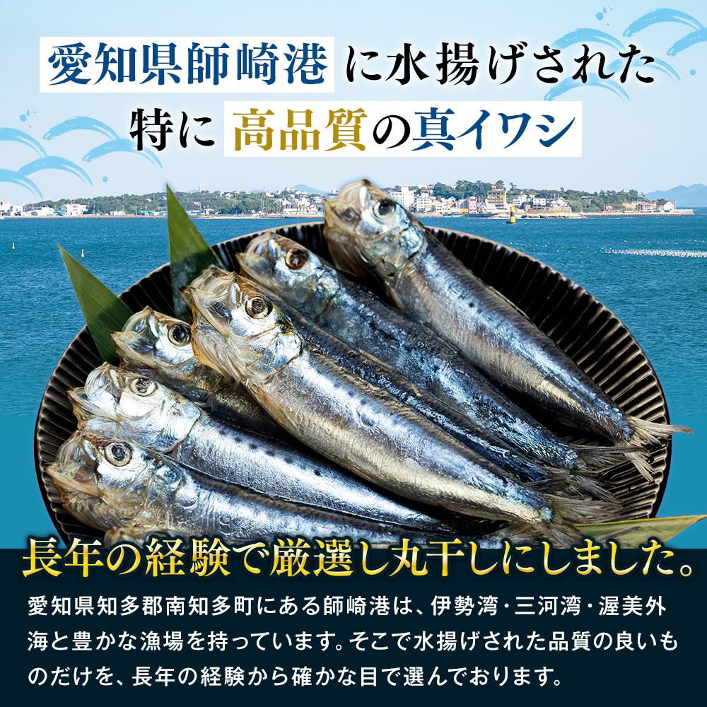 いわし 丸干し 24尾 ( 8尾 × 3 パック ) 干物 冷凍 小分け 愛知県 南知多町 ご飯 ごはん おかず おつまみ 魚 さかな 鰯 金鯱 イワシ 栄養 料理 国産 カネ成 人気 おすすめ