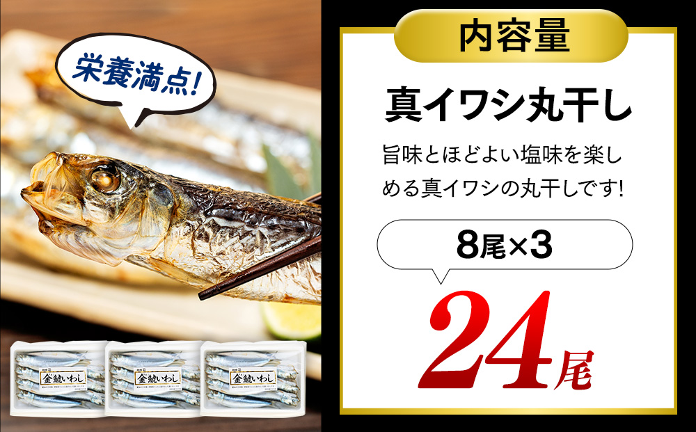 いわし 丸干し 24尾 ( 8尾 × 3 パック ) 干物 冷凍 小分け 愛知県 南知多町 ご飯 ごはん おかず おつまみ 魚 さかな 鰯 金鯱 イワシ 栄養 料理 国産 カネ成 人気 おすすめ