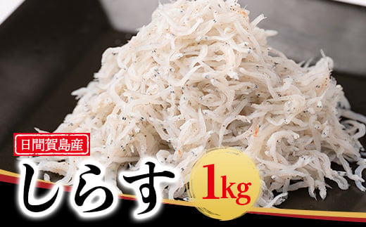 ymmzԉ꓇ 炷 1kg Ⓚ m m VR   ͂ pX^ T_ sU   Y VX   ~l p[eB[ lC 