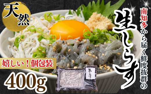 生しらす(お刺身) 400ｇ(100ｇ×4個) 岬だより