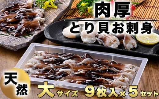 【愛知県南知多町】【天然】肉厚とり貝お刺身 とり貝【大9枚入り】5セット 岬だより