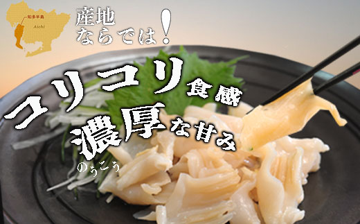 岬だより ＜貝専門店＞ 天然 白ミル貝 100g × 3袋 冷凍 新鮮 海鮮 鮮度 風味 魚介 貝 海の幸 お刺身 寿司 バター焼き ご飯 甘み おつまみ 酒 おすすめ 人気 愛知県 南知多町 三河湾 【離島不可】