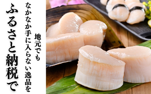 岬だより＜貝専門店＞の天然平貝むき身とヒモ・小柱セット