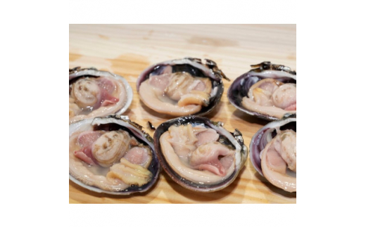 三河湾の大アサリ11～13切(約1kg)活きたままCAS冷凍・下処理済・海鮮BBQに!