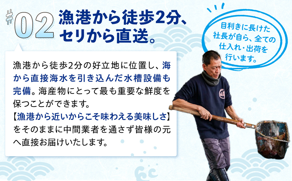 岬だよりの＜天然＞肉厚とり貝お刺身 とり貝＜大9枚入り＞3セット