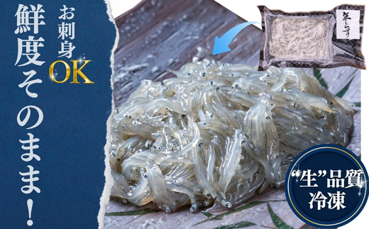 生しらす(お刺身) 800ｇ(100ｇ×8個) 岬だより