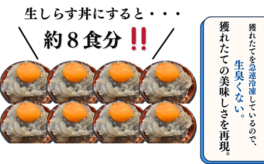 生しらす(お刺身) 800ｇ(100ｇ×8個) 岬だより