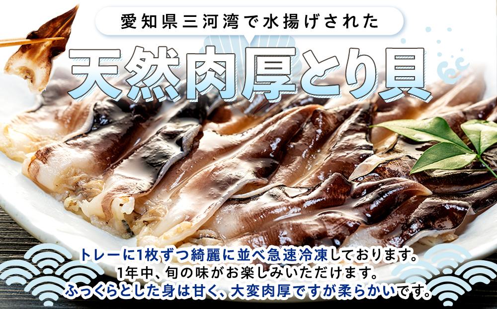 岬だよりの＜天然＞肉厚とり貝お刺身 とり貝＜中9枚入り＞5セット