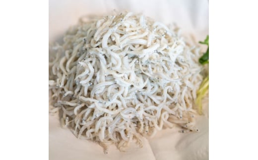 【愛知県南知多町】日間賀島 釜揚げ しらす 1kg 天然 塩 愛知県 南知多町 冷凍 ご飯 ごはん パスタ サラダ ピザ 丼 料理 国産 パーティー 魚 さかな シラス ミネラル 人気 おすすめ