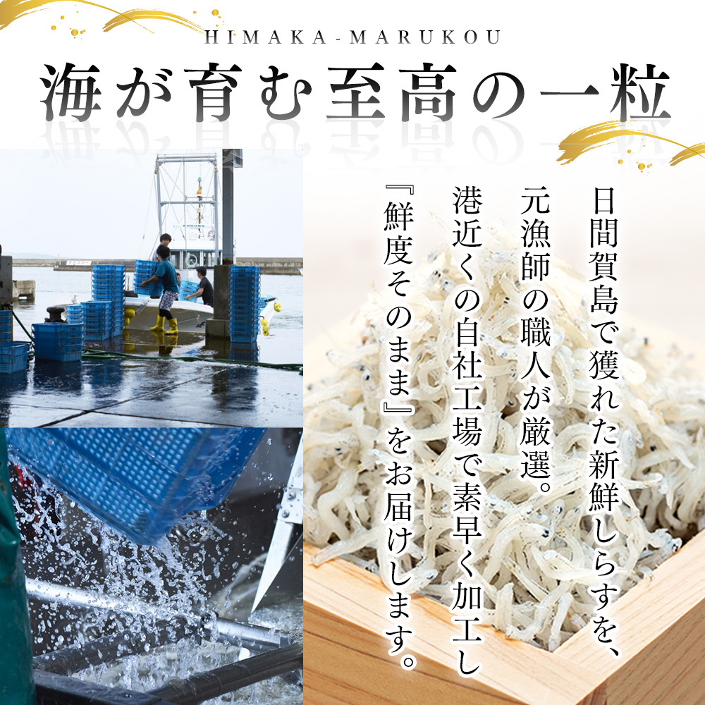 日間賀島 釜揚げ しらす 1kg 天然 塩 愛知県 南知多町 冷凍 ご飯 ごはん パスタ サラダ ピザ 丼 料理 国産 パーティー 魚 さかな シラス ミネラル 人気 おすすめ