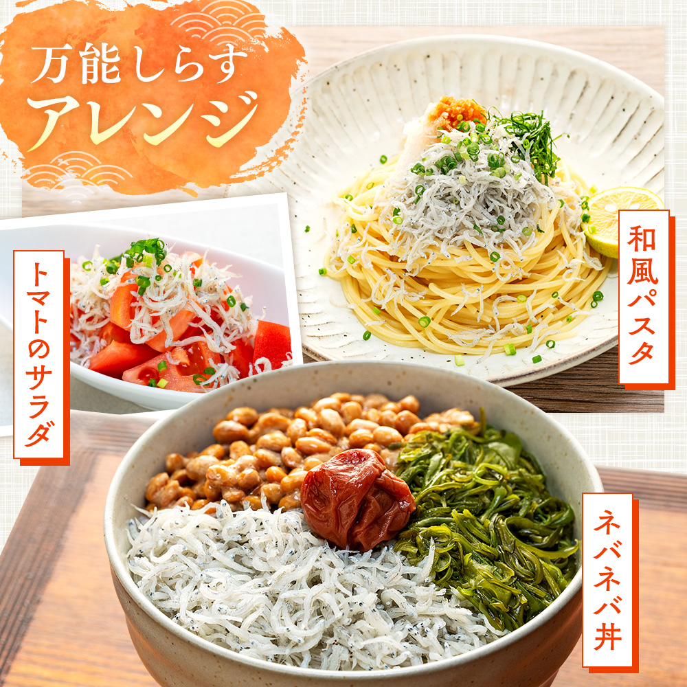 日間賀島 釜揚げ しらす 1kg 天然 塩 愛知県 南知多町 冷凍 ご飯 ごはん パスタ サラダ ピザ 丼 料理 国産 パーティー 魚 さかな シラス ミネラル 人気 おすすめ