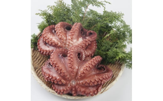 たこ 600g 3～6本 茹で 無添加 蛸 タコ 酒 つまみ たこ焼き タコパ 料理 おかず 茹で蛸 CAS冷凍 自家製 篠島産 愛知県 南知多町