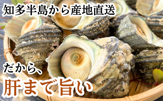 岬だよりの＜味付き＞温めるだけで本格サザエのつぼ焼き