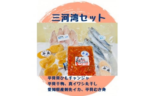 【愛知県南知多町】海神丸 三河湾 セット 5種 平貝 ( 貝ひも チャンジャ ・ 干物 ・ むき身 ) ・マイワシ 丸干し ・ ケンサキ イカ 冷凍 海鮮 魚介 海の幸 ご飯 ごはん おかず いわし 貝 愛知県 南知多町 人気 おすすめ