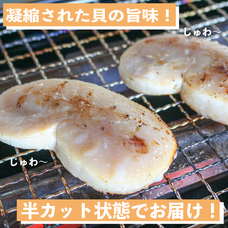 愛知県産平貝(タイラギ)ステーキ貝柱2個入　2パック