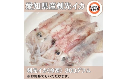 【愛知県南知多町】愛知県産 剣先イカ(アカイカ)2袋