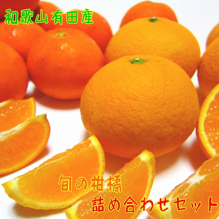 【和歌山県美浜町】【先行予約】旬の柑橘詰め合わせセット(ご家庭用)約3kg | フルーツ ふるーつ 果物 くだもの 詰め合わせ オレンジ みかん レモン 国産 産地直送 美浜町 ※2026年1月中旬〜4月下旬頃に順次発送予定 ※北海道・沖縄・離島への配送不可