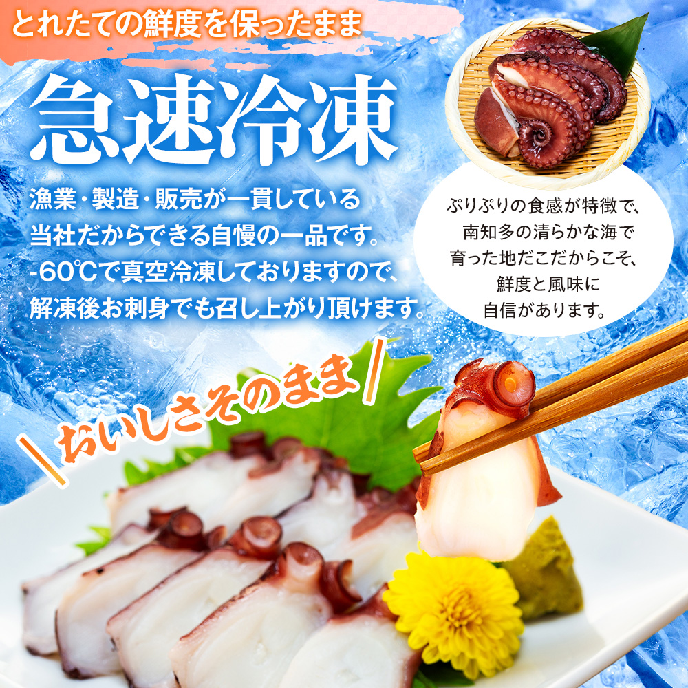 地だこボイル ５パック (100g×5) 冷凍 たこ 海鮮 海産物 たこ飯 たこ焼き アヒージョ たこ唐揚げ おつまみ お酒 ご飯 おかず 自家製チョジャン付き おすすめ 人気 愛知県 南知多町