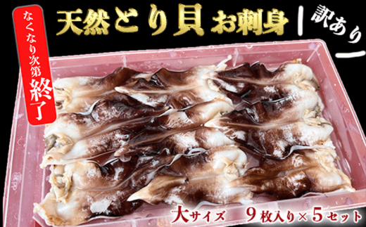 【愛知県南知多町】【見た目訳あり】とり貝お刺身(大9枚入り)5セット 岬だより