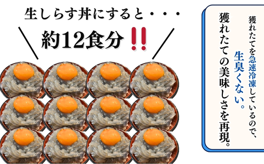 生しらす(お刺身) 1.2kg(100ｇ×12個) 岬だより