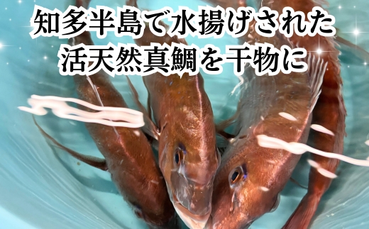 岬だよりの大人気 天然真鯛の干物　中サイズ5枚セット